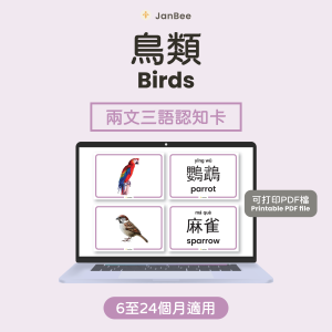 鳥類認知卡(PDF)