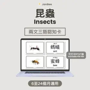 昆蟲認知卡(PDF)