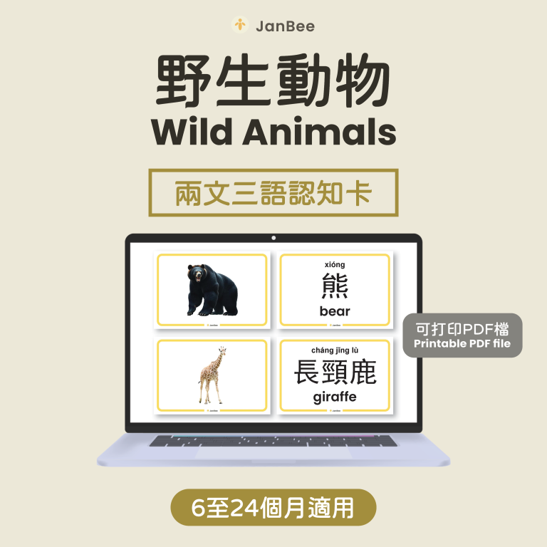 野生動物認知卡（PDF）